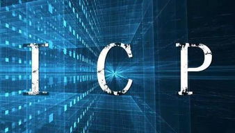 水果自由的互联网信息服务 策略与实施路径